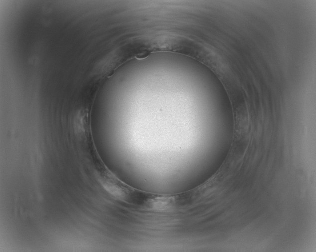 X0000073870126200608101519