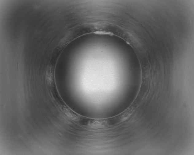 X0000073870129200608101519