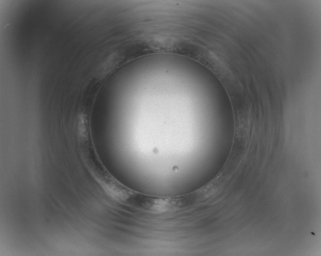 X0000073870130200608101519