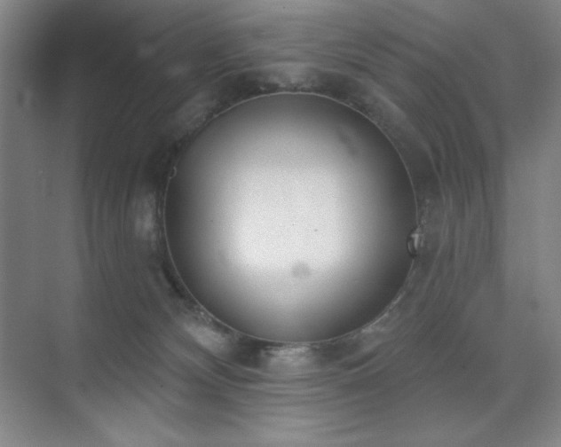 X0000073870132200608101519