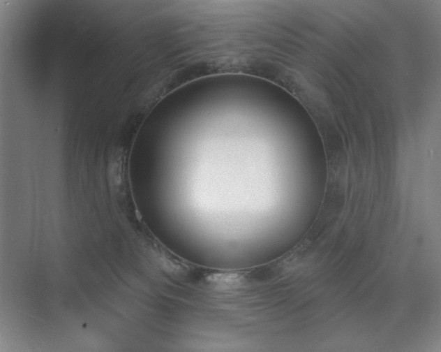 X0000073870133200608101519