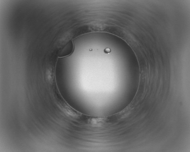 X0000073870134200608101519