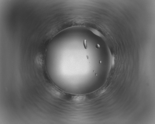 X0000073870135200608101519