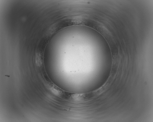 X0000073870136200608101519