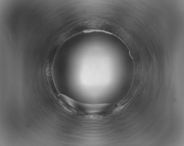 X0000073870137200608101519