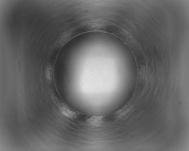 X0000073870138200608101519