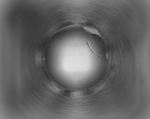 X0000073870139200608101519