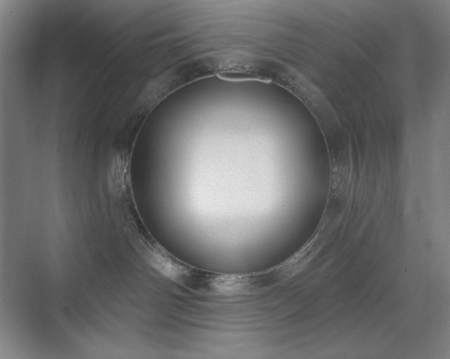 X0000073870142200608101519