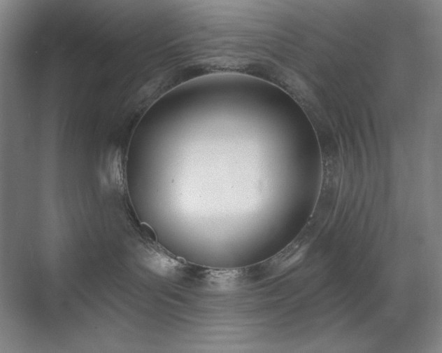 X0000073870143200608101519