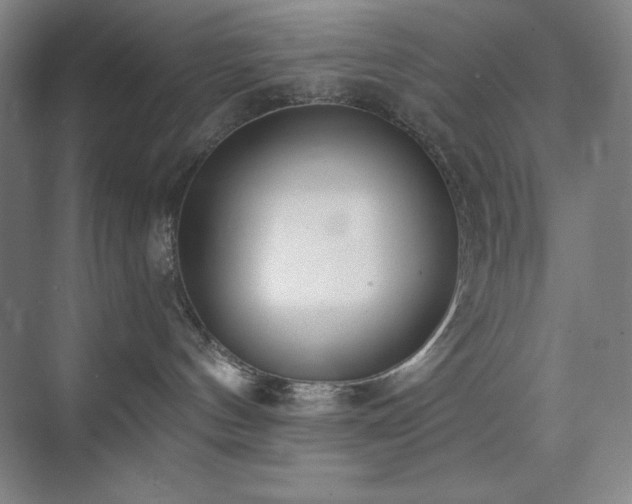 X0000073870144200608101519