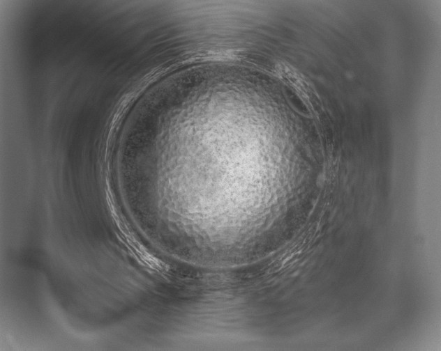 X0000073870145200608101518