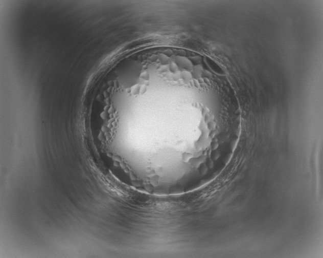 X0000073870149200608101518