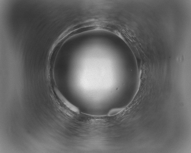 X0000073870150200608101518