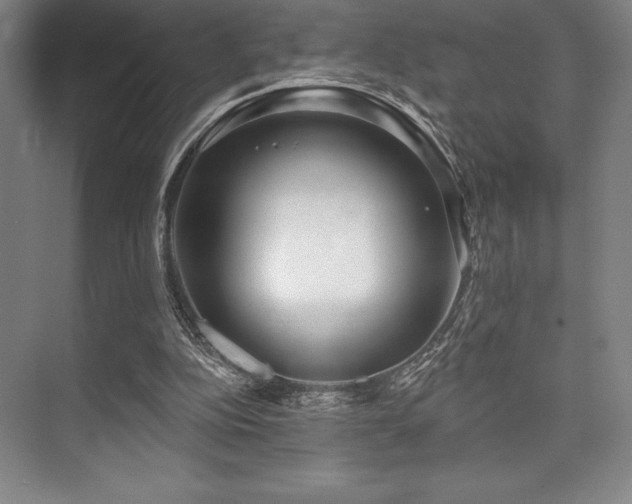 X0000073870152200608101518