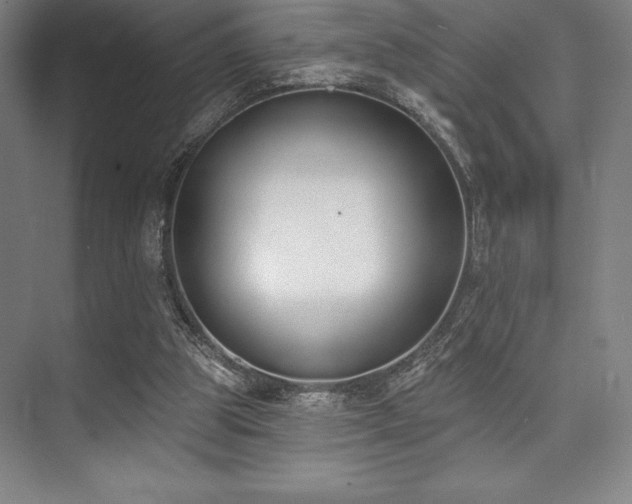 X0000073870153200608101519