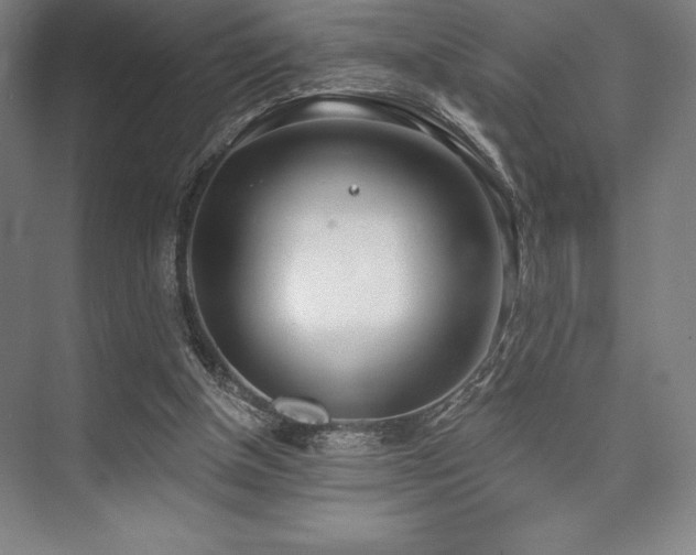 X0000073870154200608101519