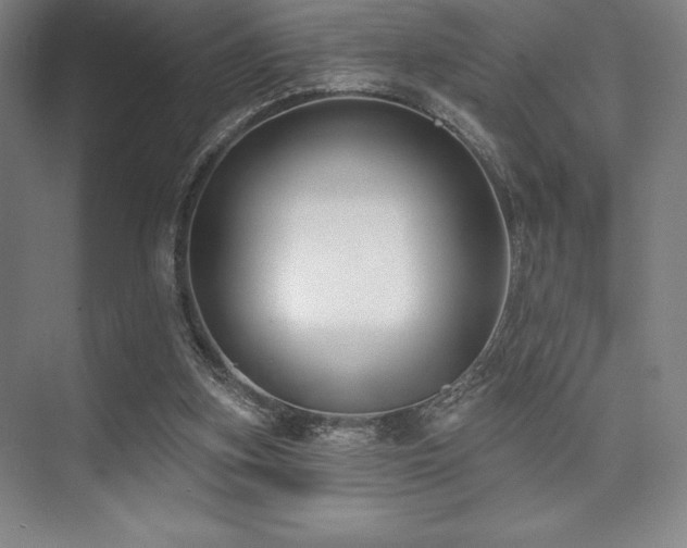 X0000073870155200608101519