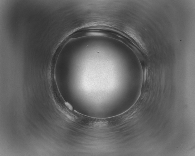 X0000073870156200608101519