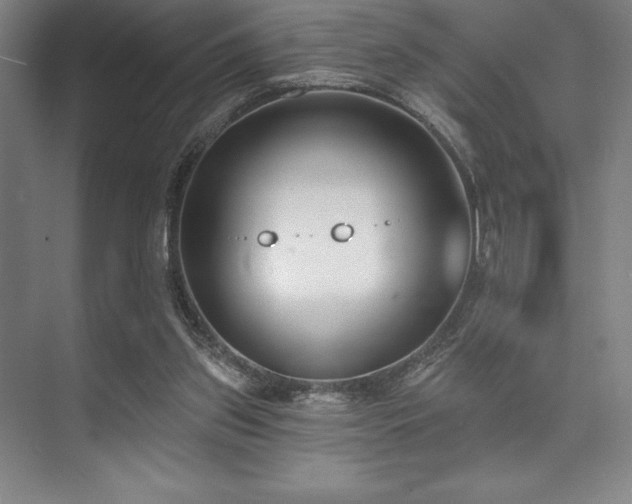 X0000073870157200608101519