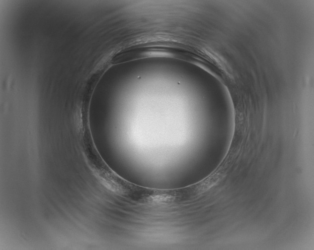 X0000073870158200608101519