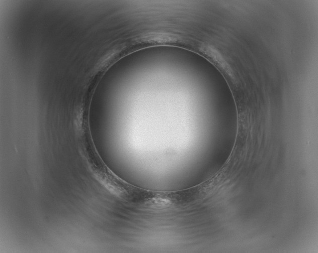 X0000073870159200608101519