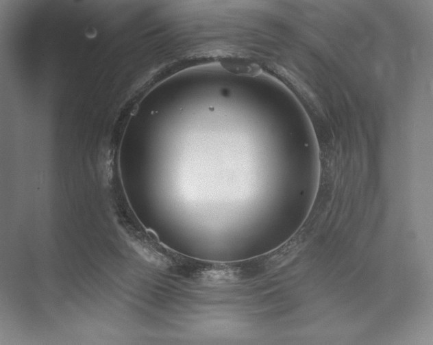 X0000073870160200608101519