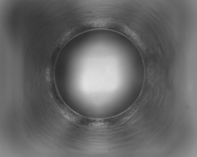 X0000073870161200608101519