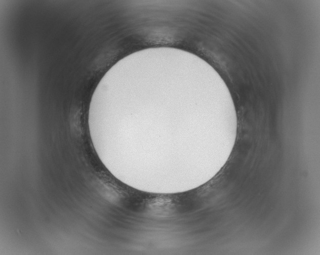 X0000073870162200608101519