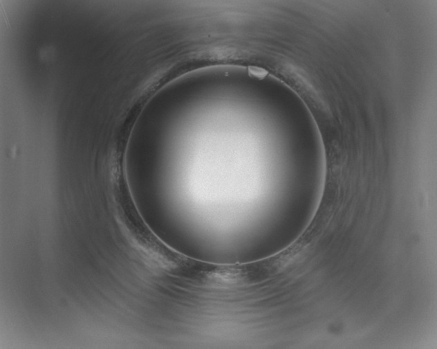 X0000073870164200608101519