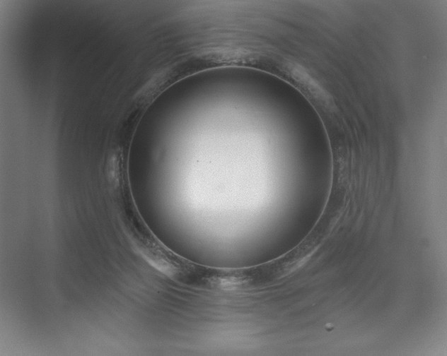 X0000073870165200608101519