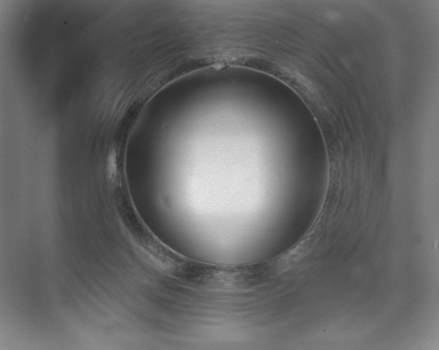 X0000073870166200608101519