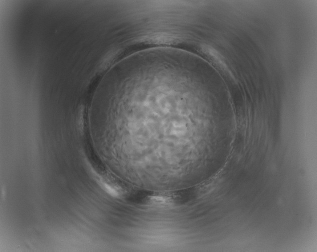 X0000073870167200608101519