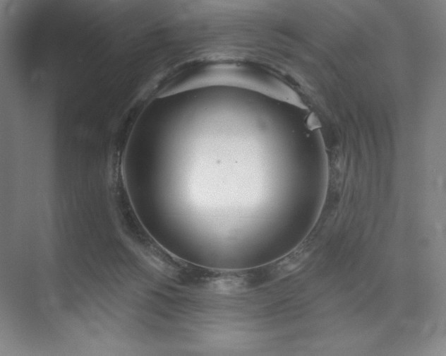 X0000073870168200608101519