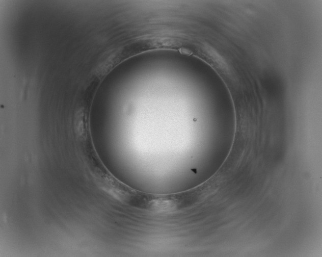 X0000073870169200608101519