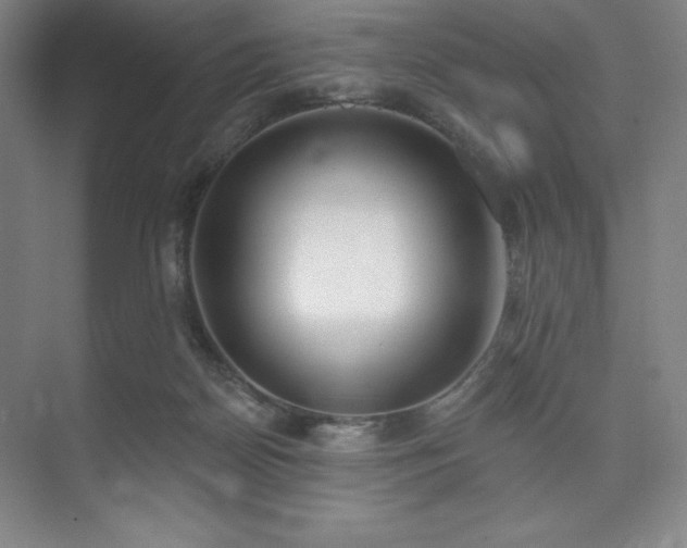 X0000073870170200608101519