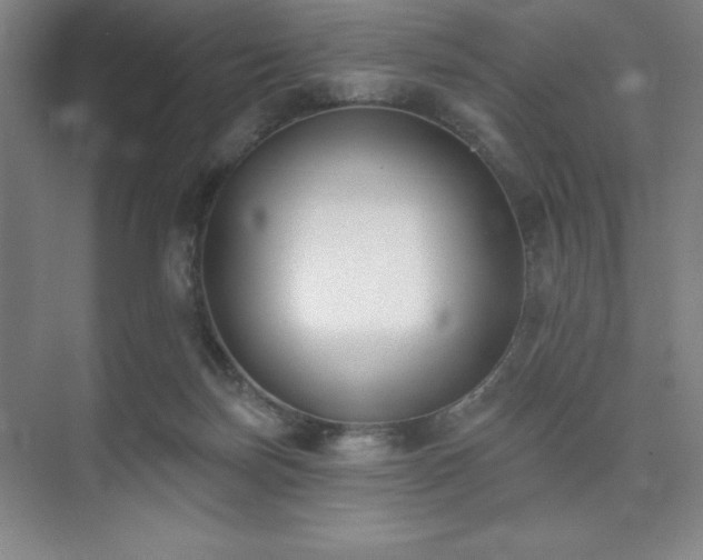 X0000073870171200608101519