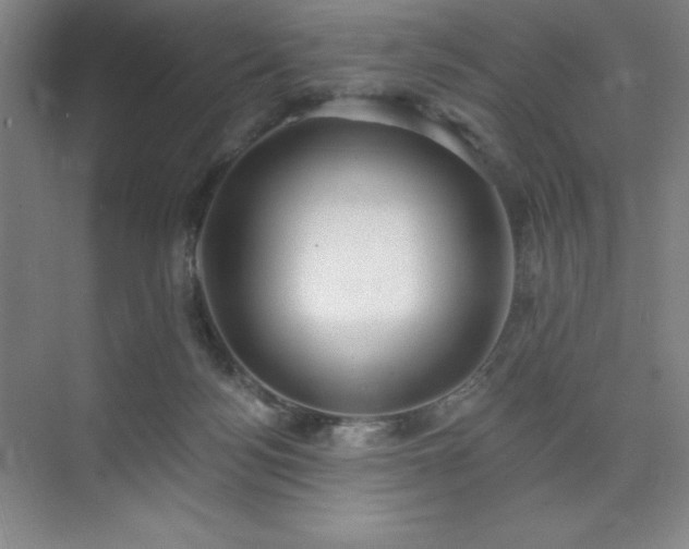 X0000073870172200608101519