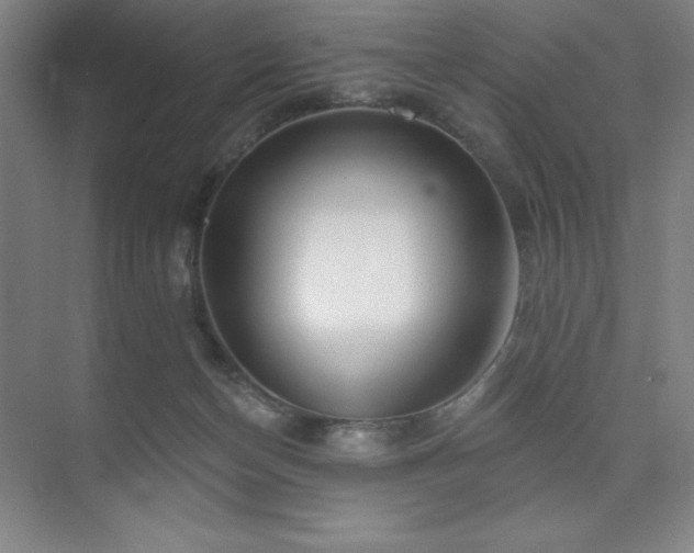 X0000073870174200608101519