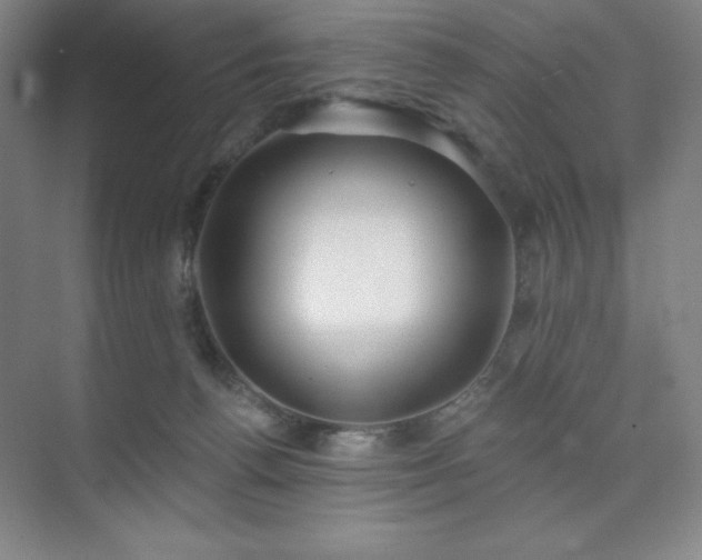 X0000073870176200608101519