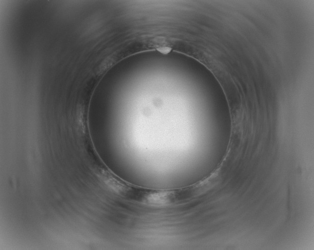 X0000073870178200608101519