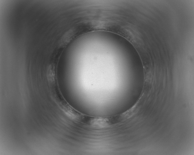 X0000073870179200608101519