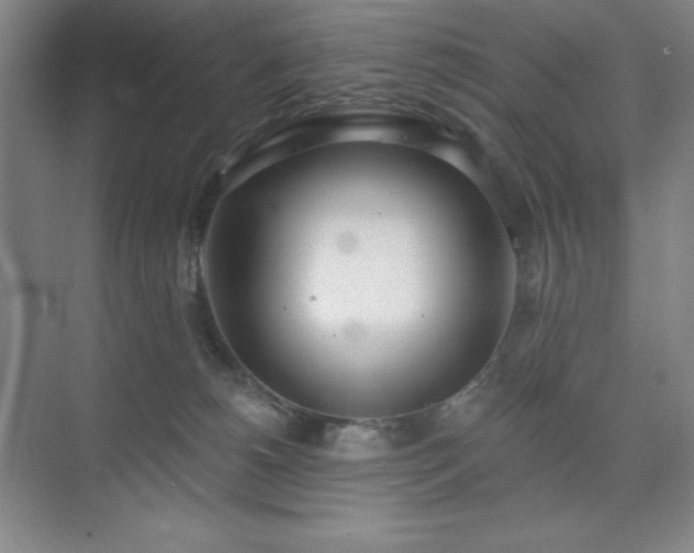 X0000073870180200608101519