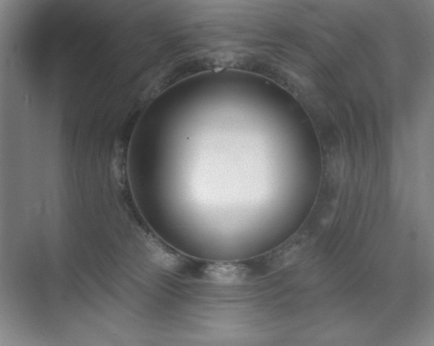 X0000073870181200608101519