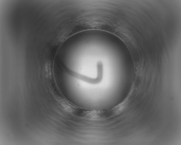 X0000073870182200608101519