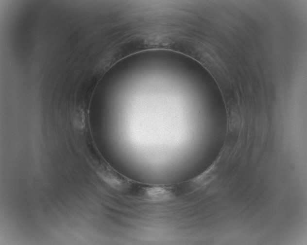 X0000073870183200608101519