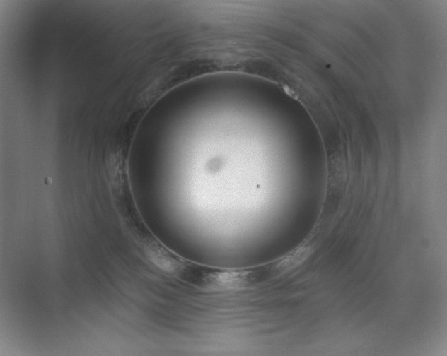 X0000073870184200608101519