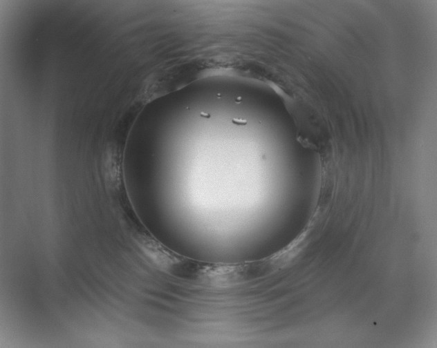 X0000073870186200608101519