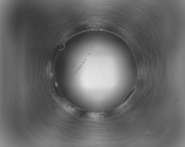 X0000073870187200608101519