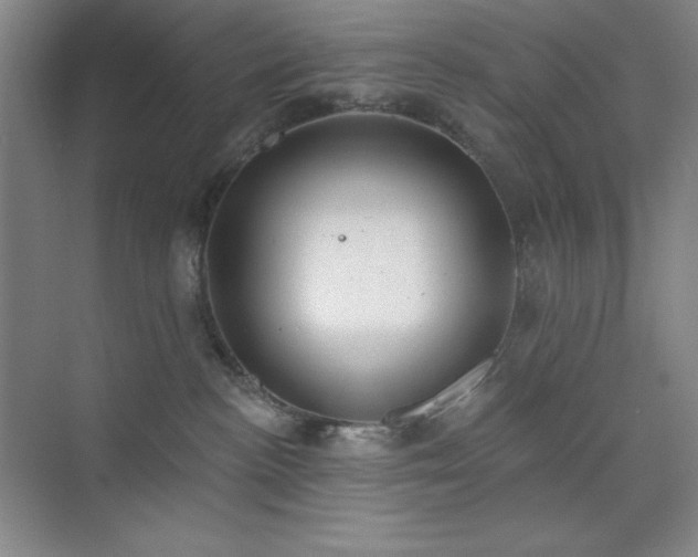 X0000073870188200608101519