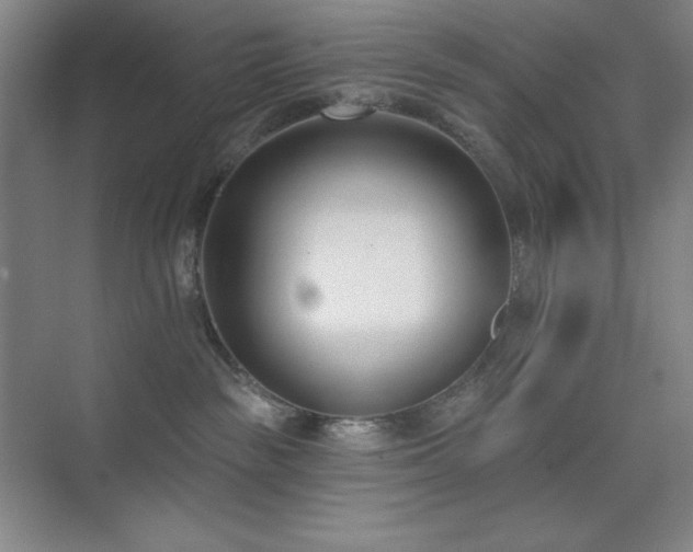 X0000073870189200608101519